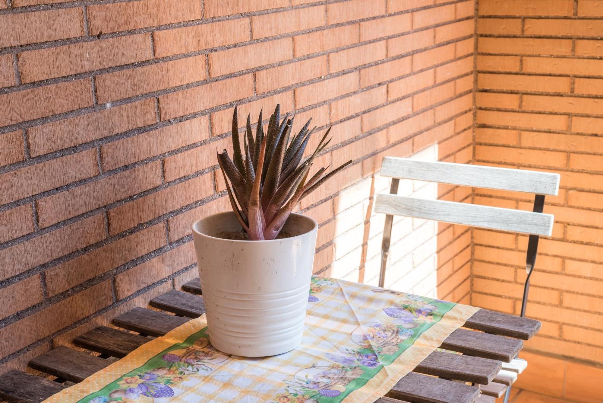 Travelershome Ciampino Suite Exterior photo